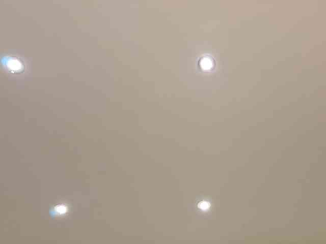 dolly-ll webcam