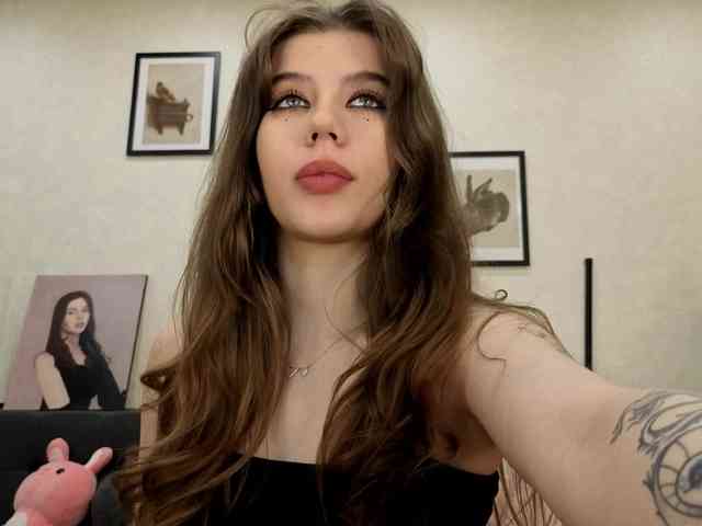 dolly-ll webcam