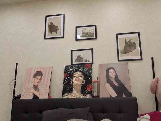 dolly-ll webcam