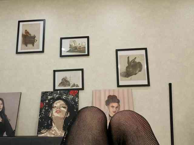 dolly-ll webcam
