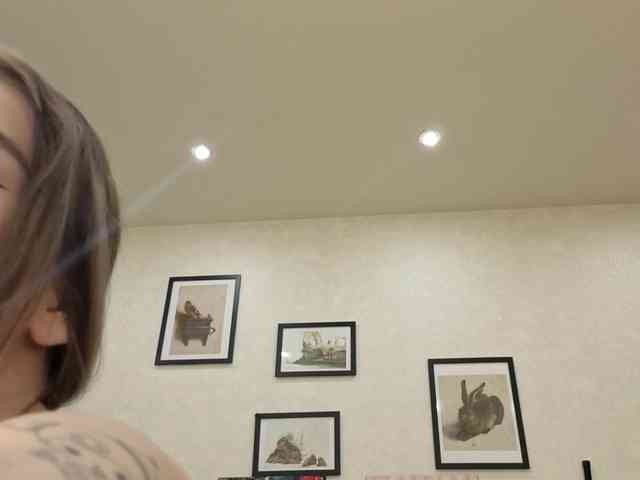 dolly-ll webcam