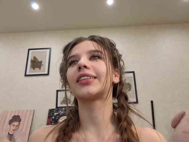dolly-ll webcam
