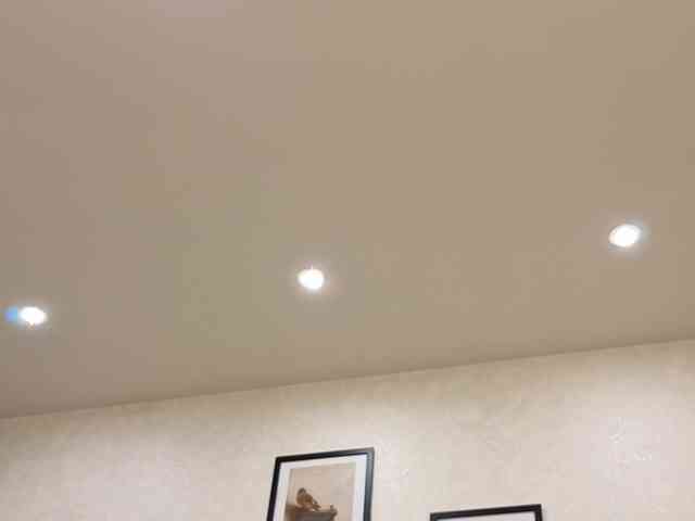 dolly-ll webcam
