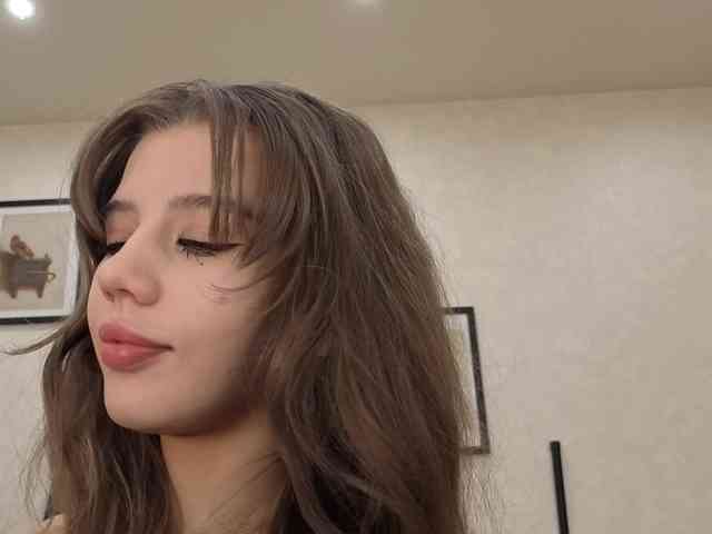 dolly-ll webcam