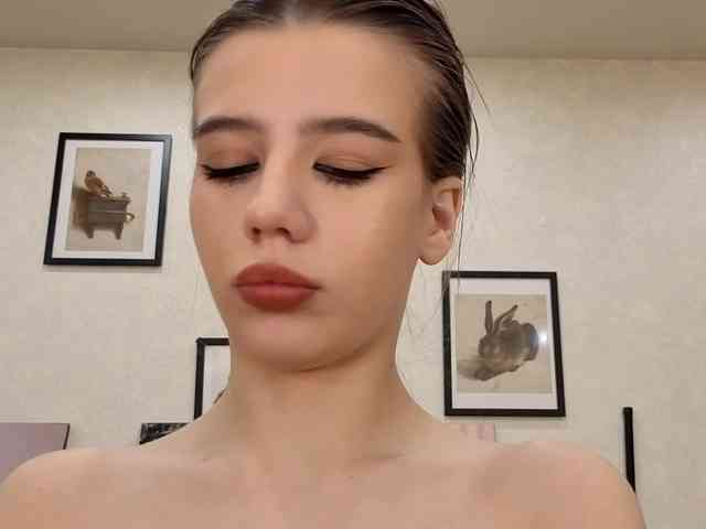 dolly-ll webcam