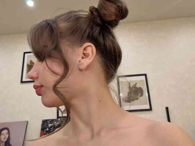 dolly-ll webcam