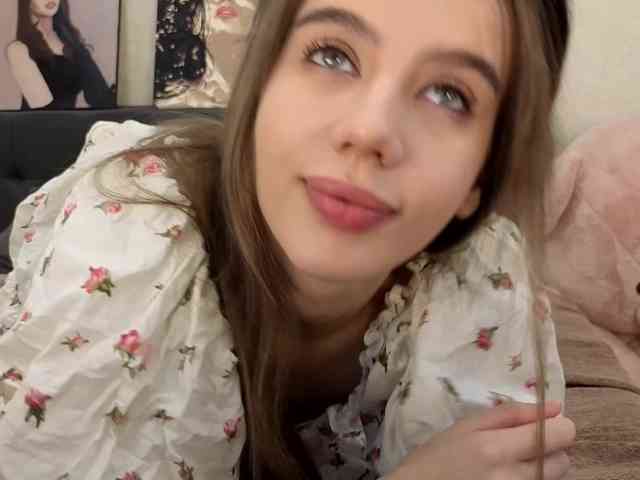 dolly-ll webcam