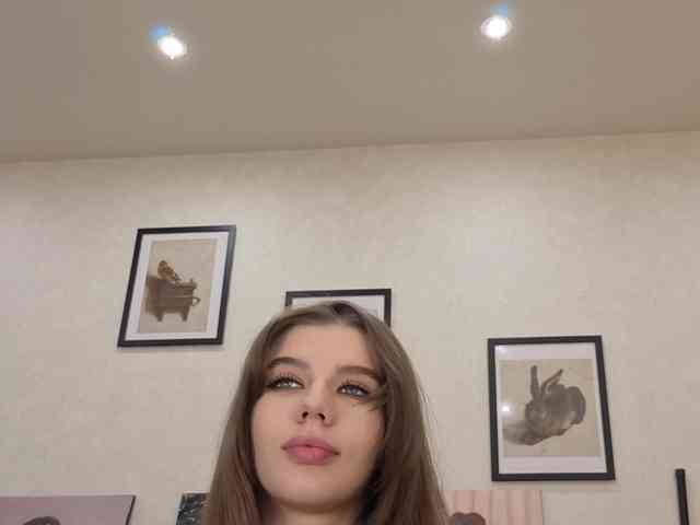 dolly-ll webcam