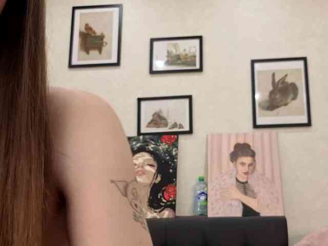 dolly-ll webcam