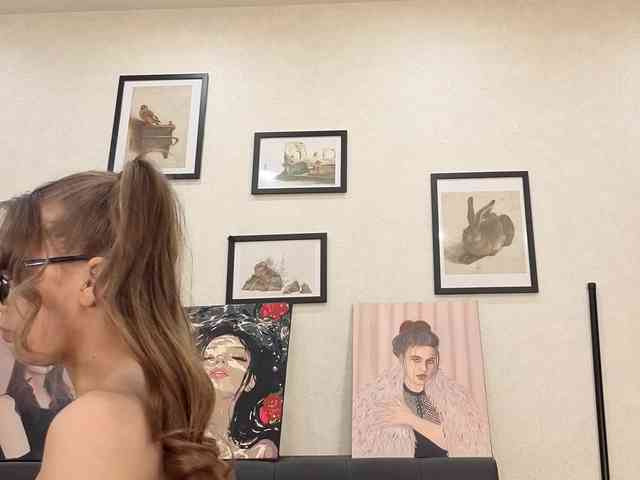 dolly-ll webcam
