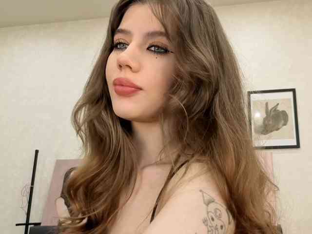 dolly-ll webcam