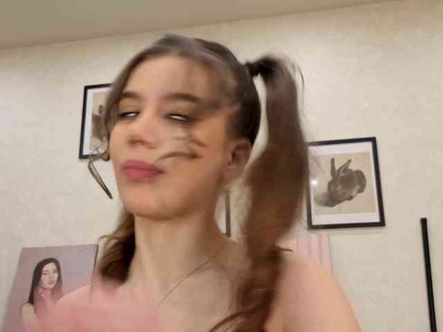 dolly-ll webcam