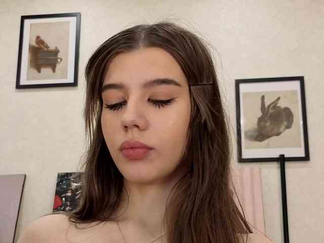 dolly-ll webcam