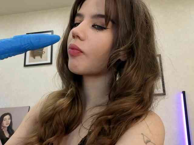 dolly-ll webcam