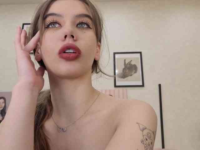 dolly-ll webcam