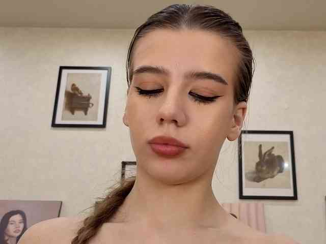 dolly-ll webcam