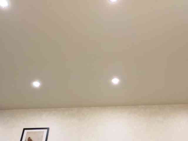 dolly-ll webcam