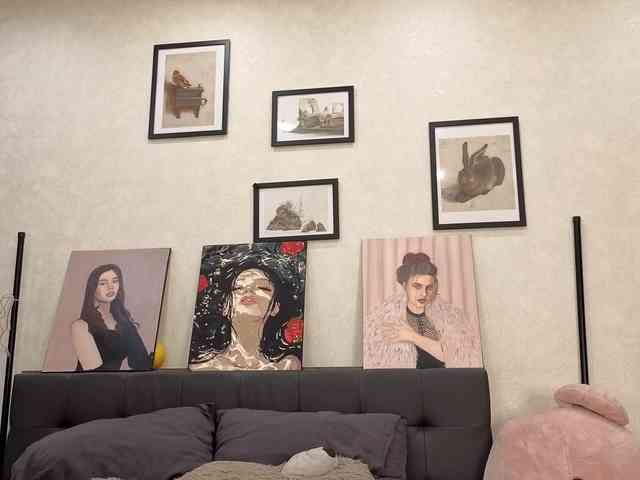 dolly-ll webcam