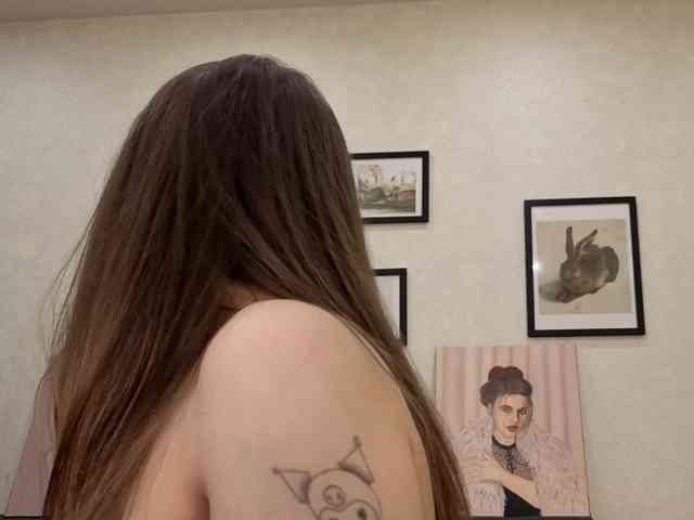 dolly-ll webcam