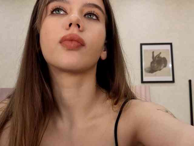 dolly-ll webcam