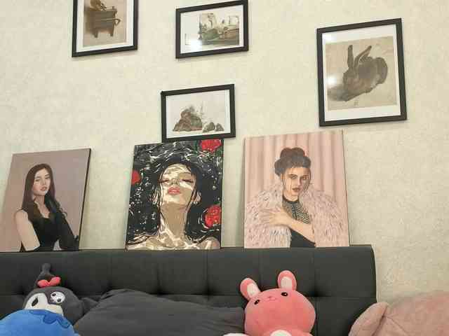 dolly-ll webcam