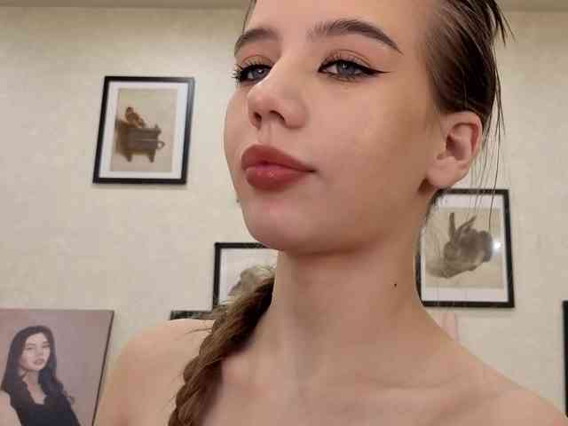 dolly-ll webcam