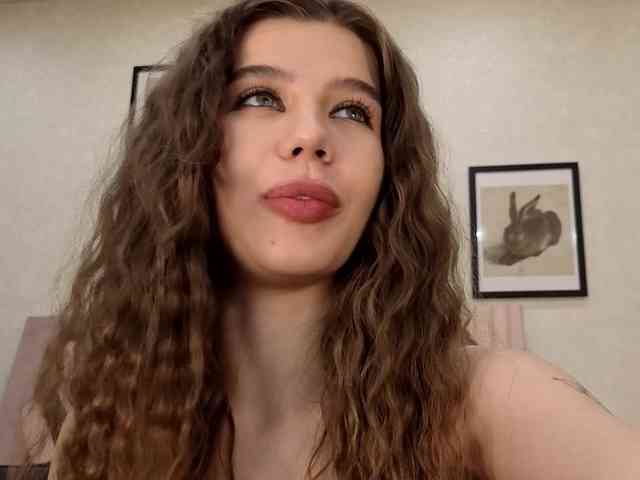 dolly-ll webcam