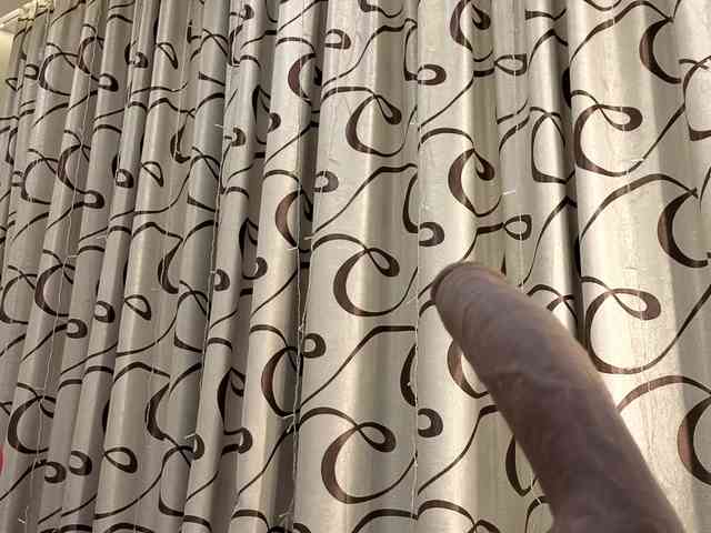 dolly-ll webcam