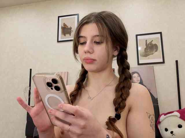 dolly-ll webcam