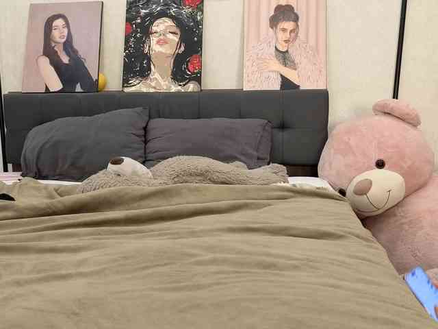 dolly-ll webcam