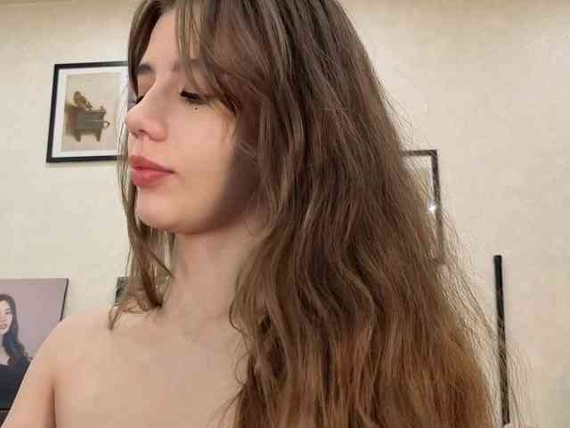 dolly-ll webcam