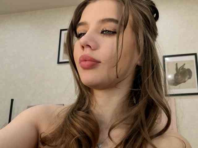 dolly-ll webcam