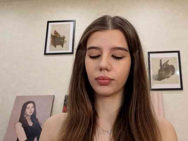 dolly-ll webcam