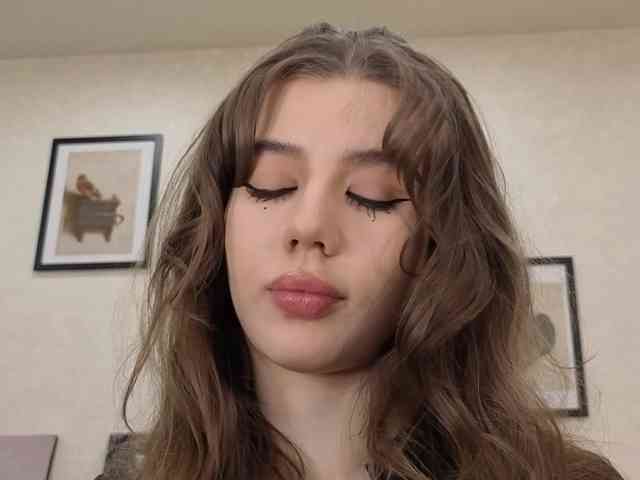 dolly-ll webcam