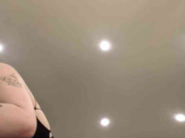 dolly-ll webcam