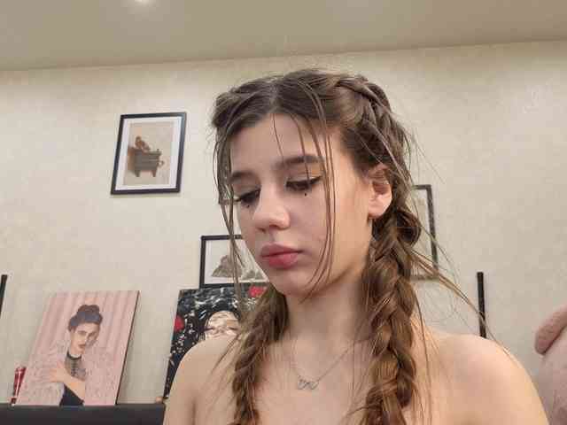 dolly-ll webcam
