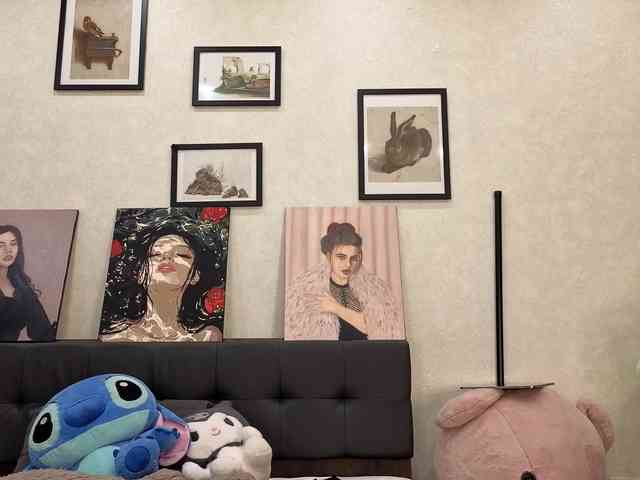 dolly-ll webcam