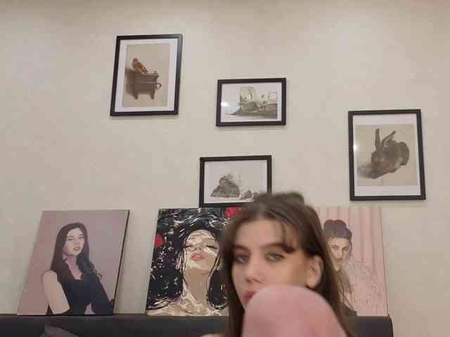 dolly-ll webcam
