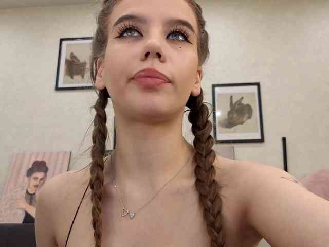 dolly-ll webcam