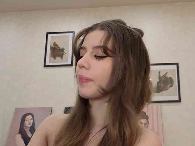 dolly-ll webcam