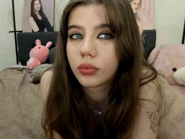 dolly-ll webcam