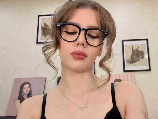 dolly-ll webcam