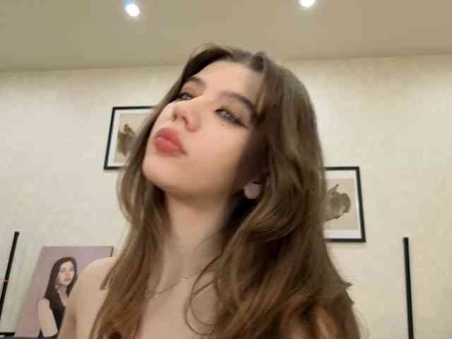 dolly-ll webcam