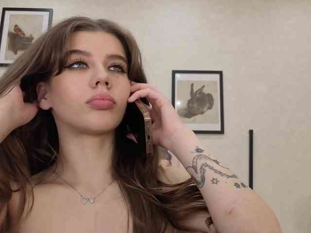 dolly-ll webcam