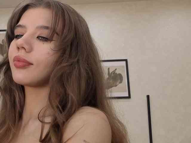 dolly-ll webcam