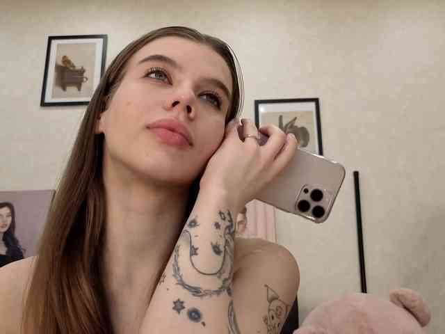 dolly-ll webcam