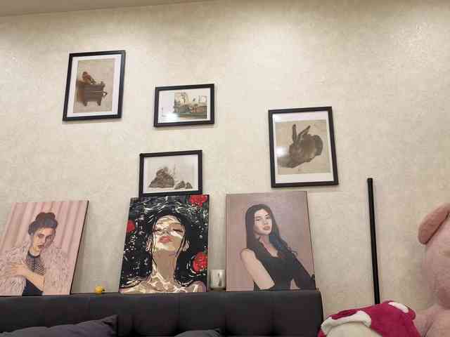 dolly-ll webcam
