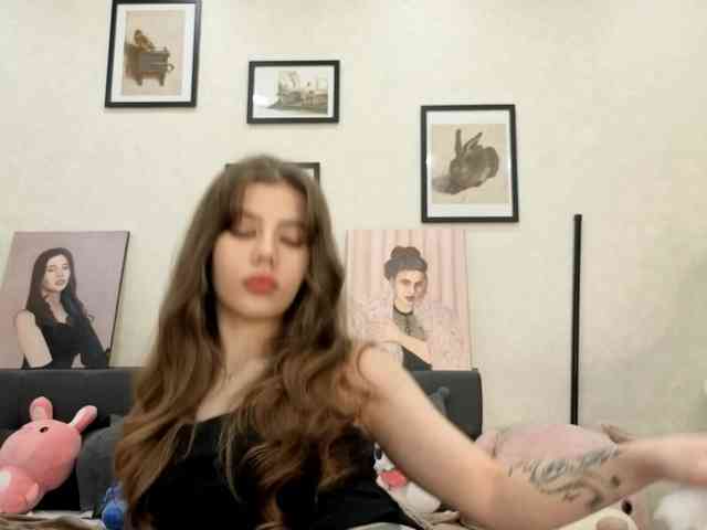 dolly-ll webcam