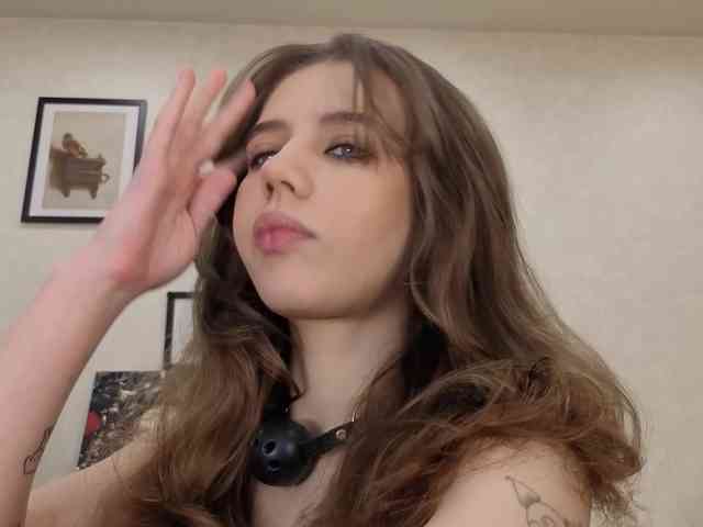 dolly-ll webcam