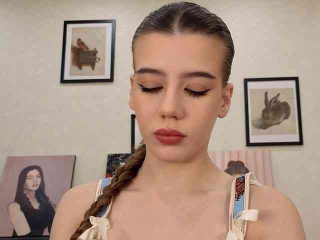 dolly-ll webcam